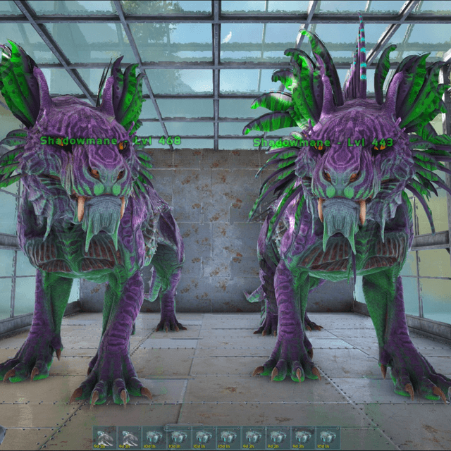 SHADOWMANE PURPGREEN