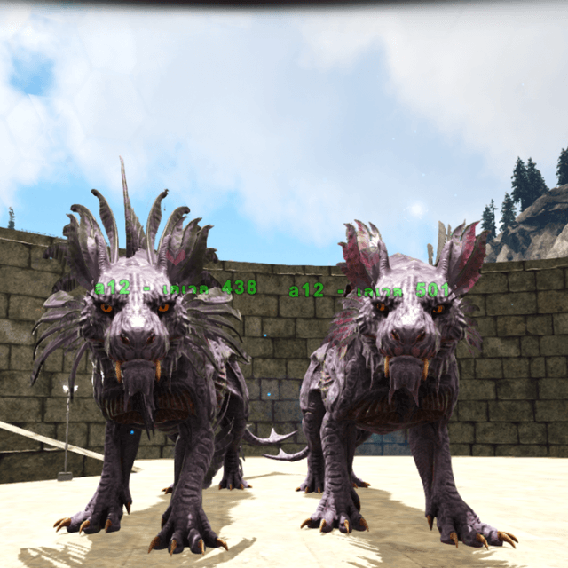 Shadowmane  เพศผู้ และ เพศเมีย