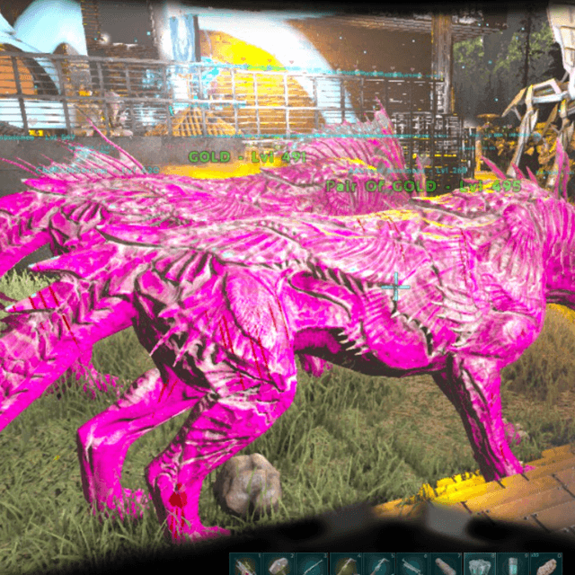 forsale ( Pairs )Pink Color of Shadowmane With Apprentice saddle (Blue Grade)