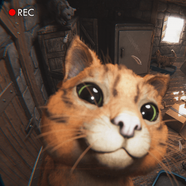 Cat
