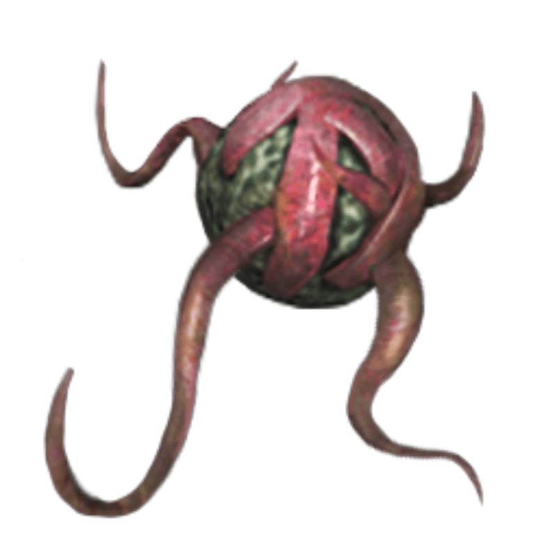 Plant Species Y Trap (40x)