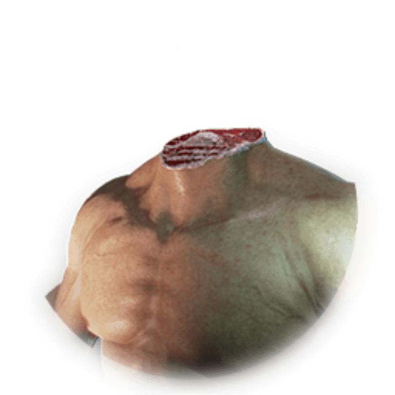 Headless Costume Skin (1x)