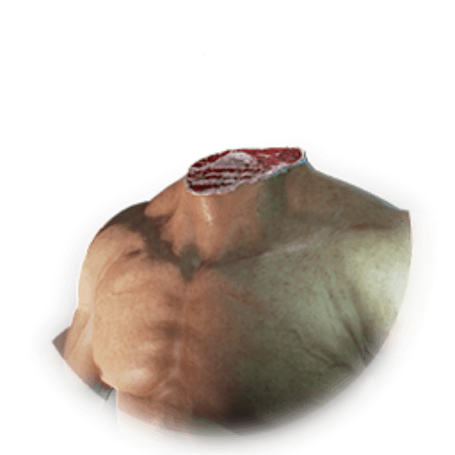 Headless Costume Skin