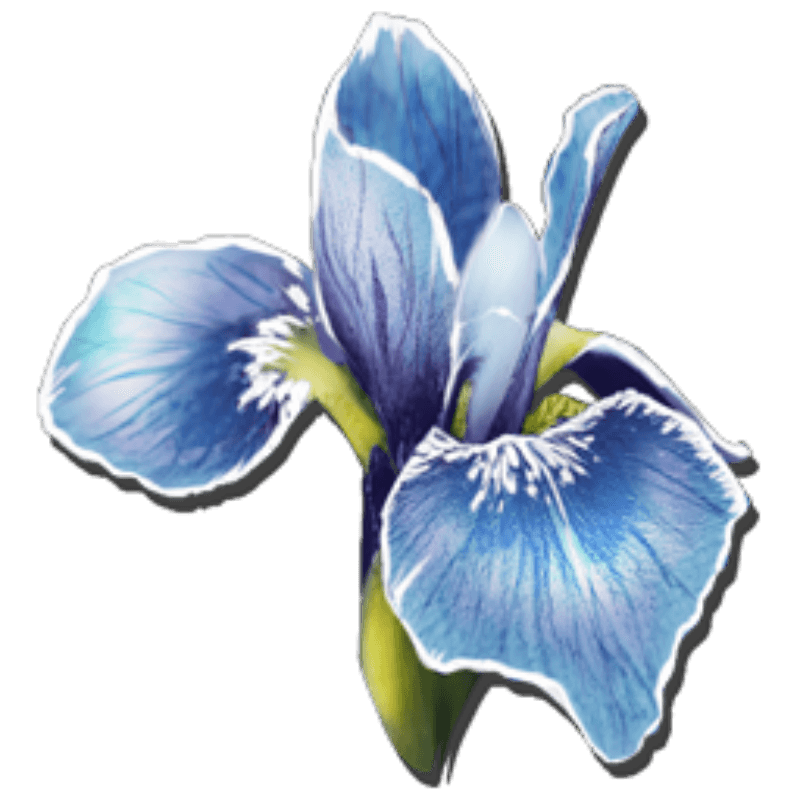 Rare Flower (2,000x)