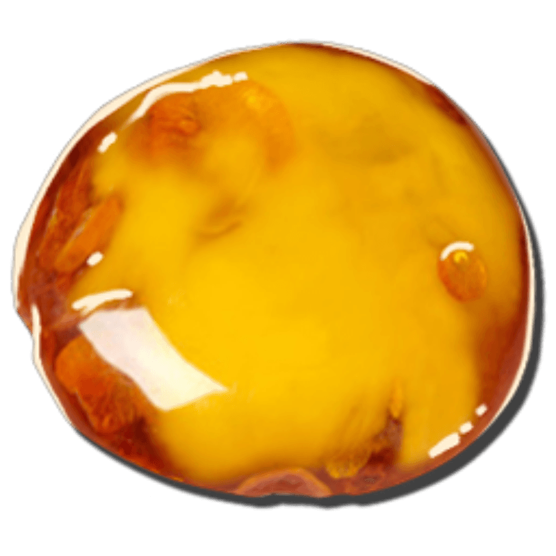 Sap (100x)