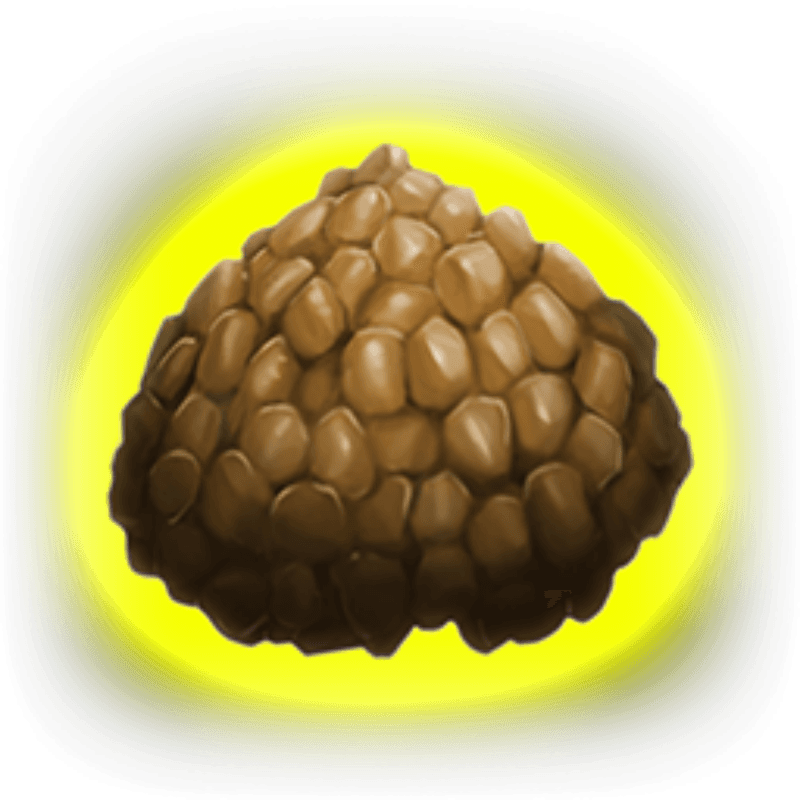 Exceptional Kibble (20x)