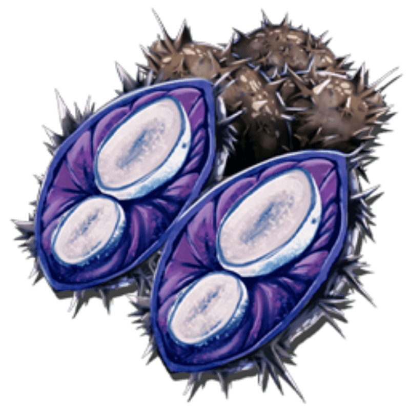 Plant Species X Seed (1,000x)