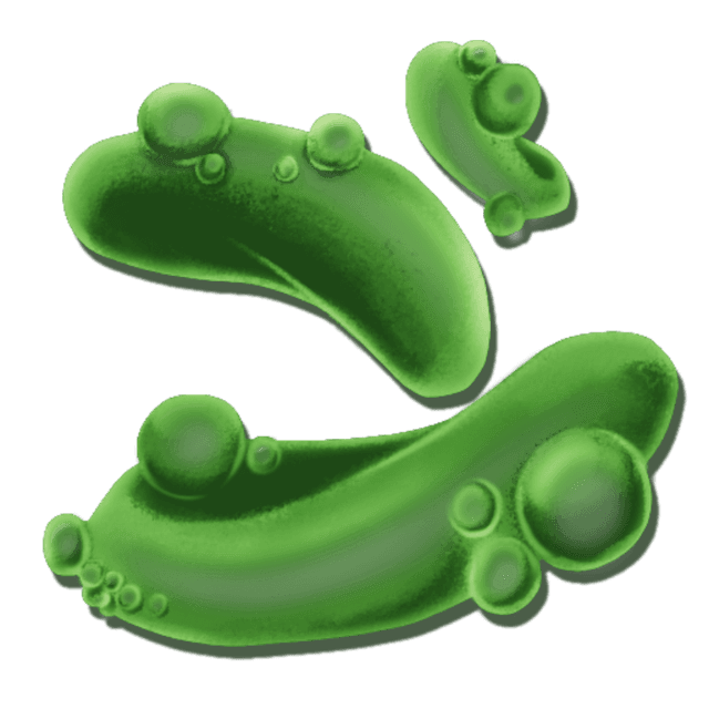 Reaper Pheromone Gland
