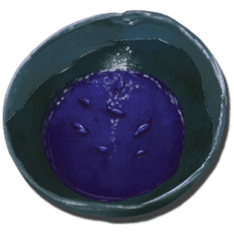 Broth of Enlightenment (20x)