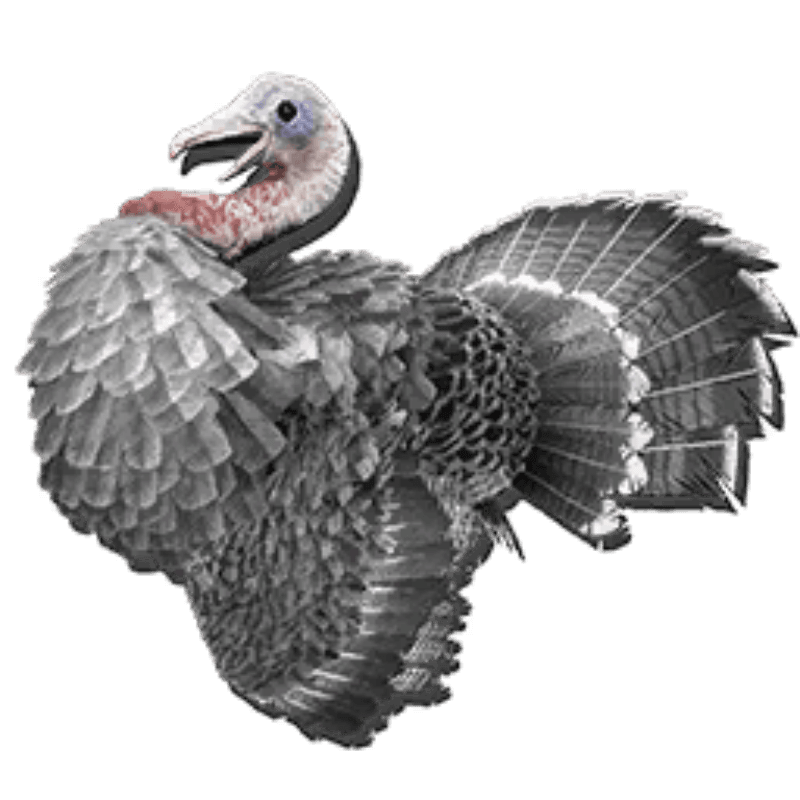 Turkey Hat Skin (1x)