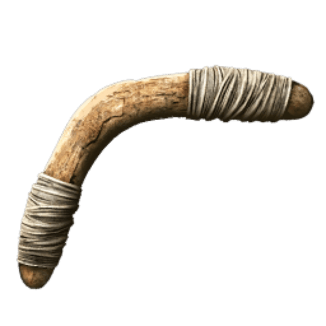 Boomerang