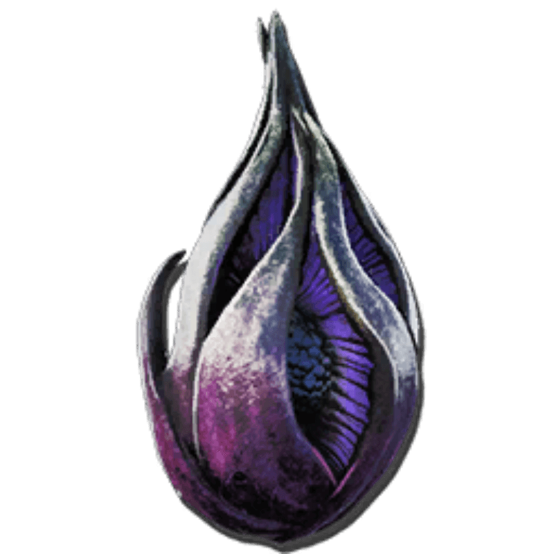 Plant Species Z Fruit (100x)