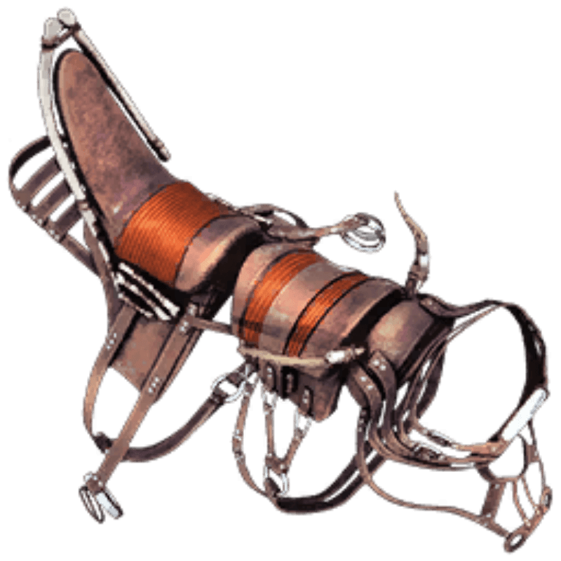 Rhyniognatha Saddle (1x)