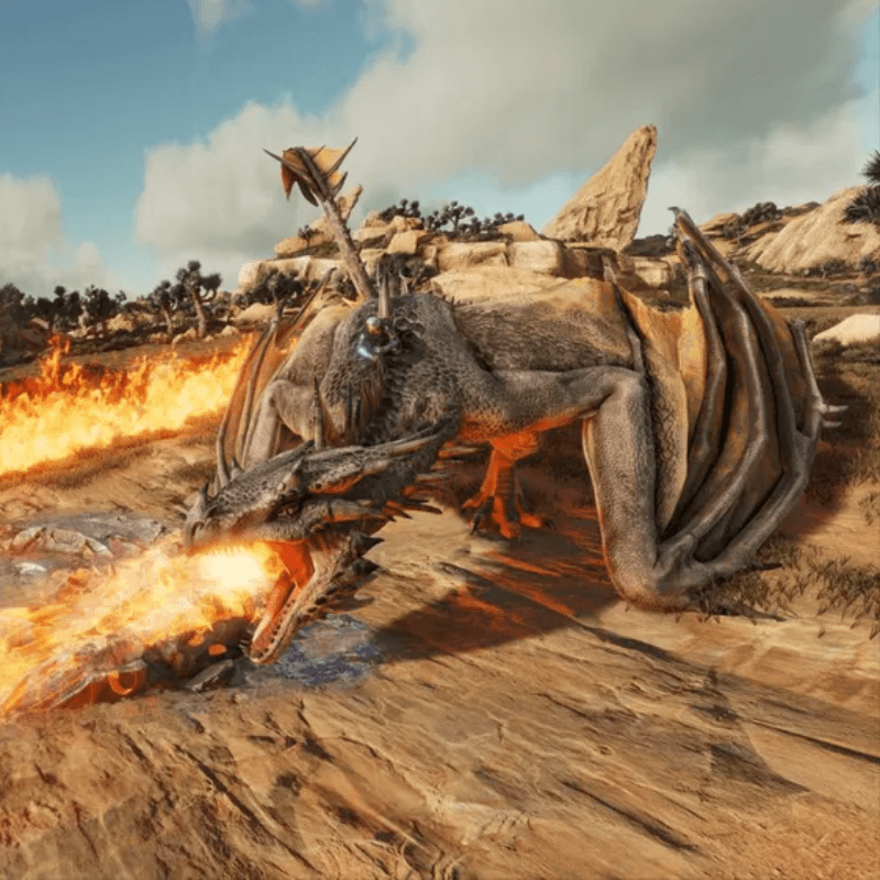 Fire Wyvern
