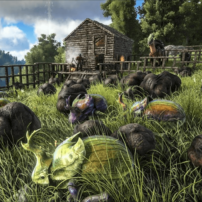 Dung Beetle (Lv.200)