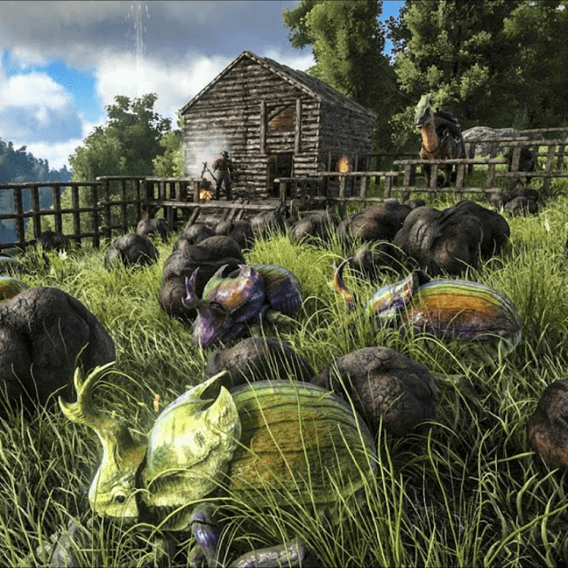 Dung Beetle