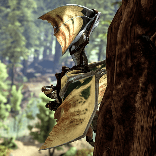 Tapejara