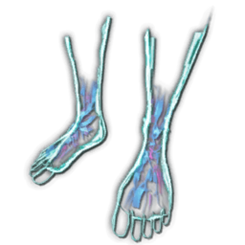 HomoDeus Boots Skin (1x)