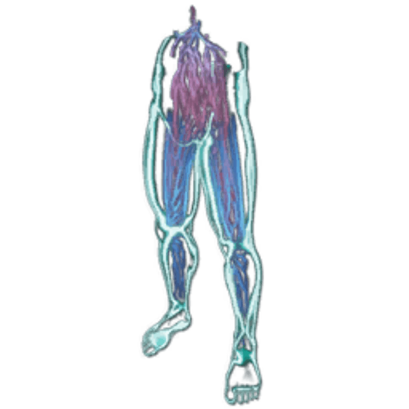 HomoDeus Pants Skin (1x)
