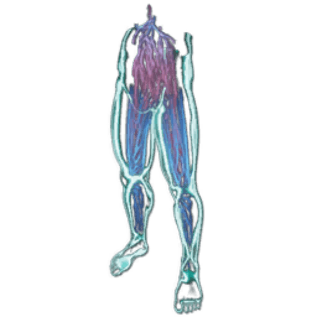 HomoDeus Pants Skin