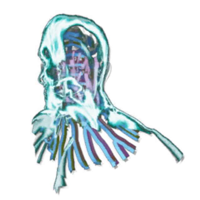 HomoDeus Helmet Skin