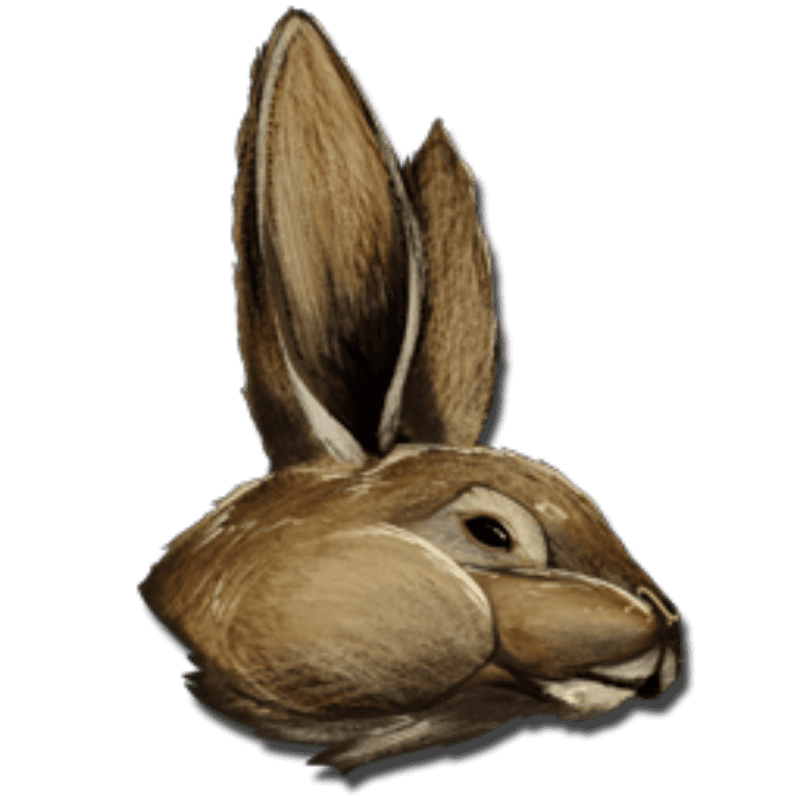 Procoptodon Bunny Costume (1x)