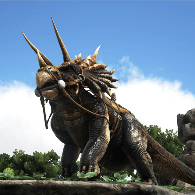 Triceratops