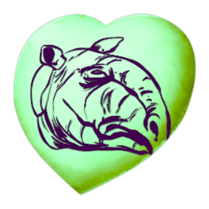 Chibi-Paraceratherium (1x)