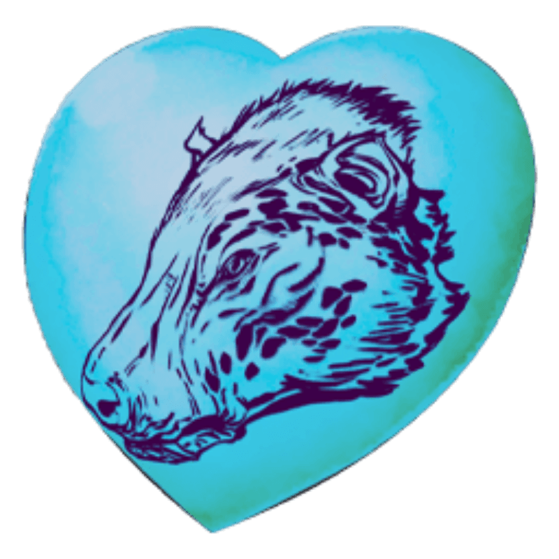 Chibi-Andrewsarchus (1x)
