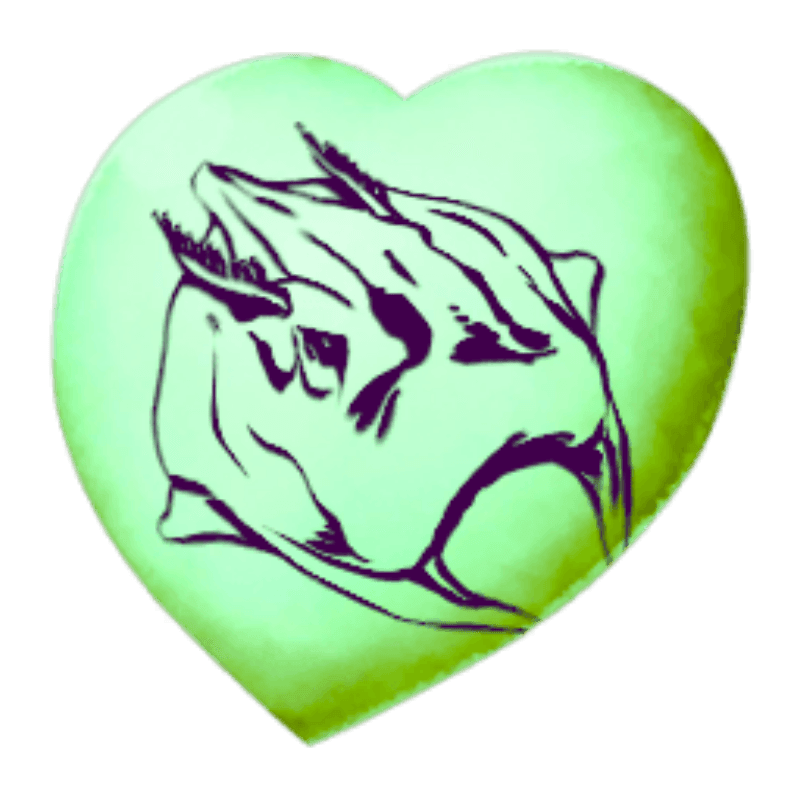 Chibi-Manta (1x)