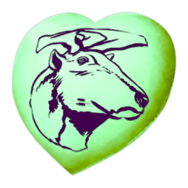 Chibi-Megaloceros