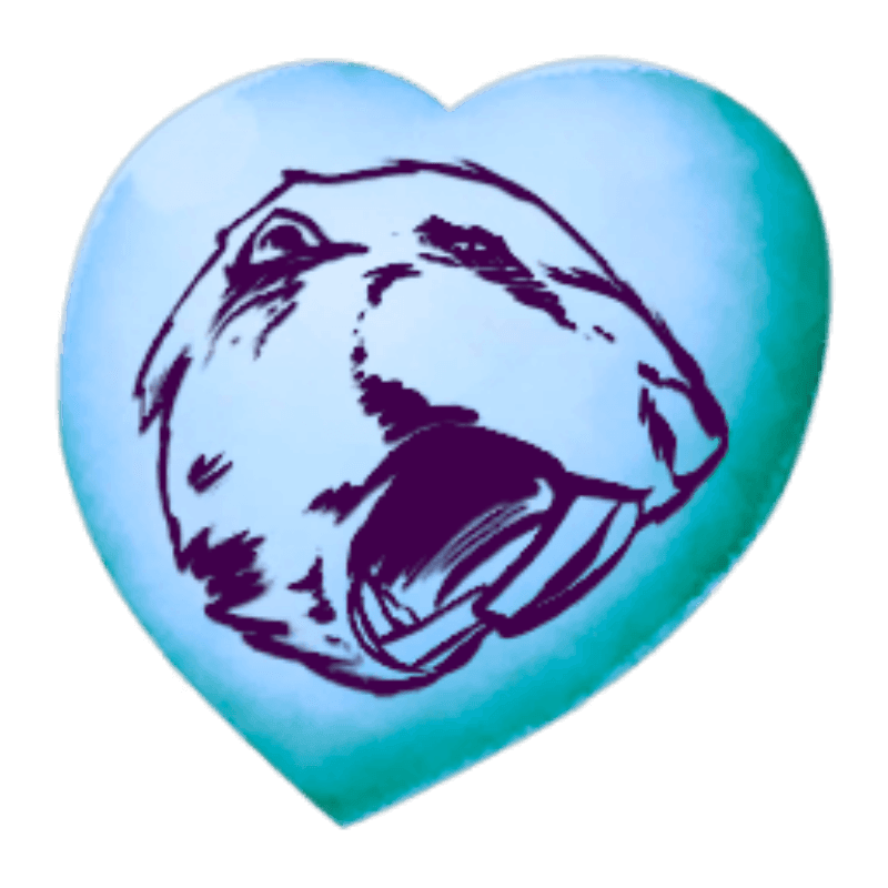 Chibi-Castroides (1x)