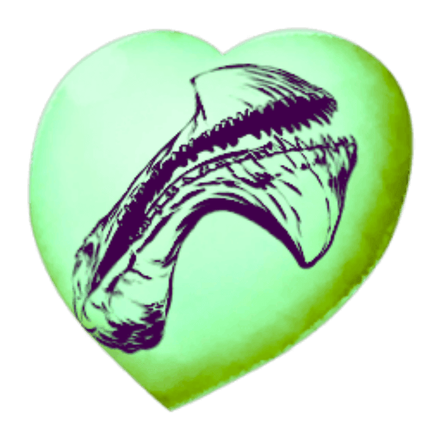 Chibi-Tropeognathus