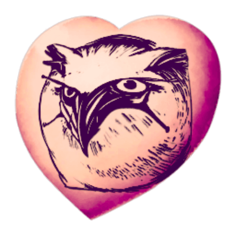 Chibi-The Witching Owl