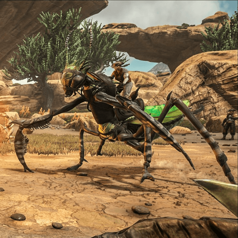 Mantis