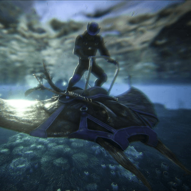 Manta