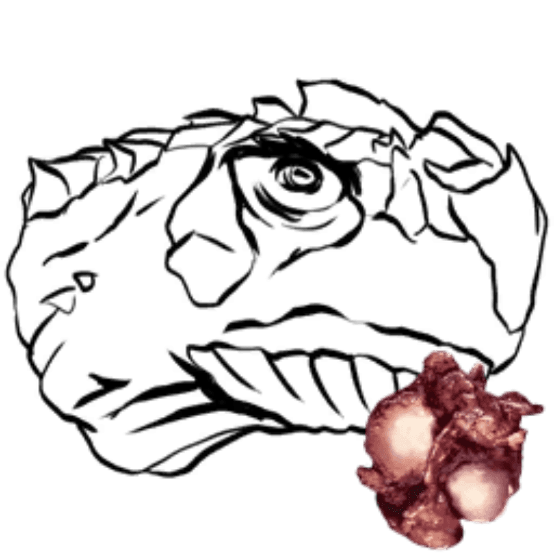 R-Carbonemys
