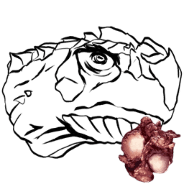R-Carbonemys