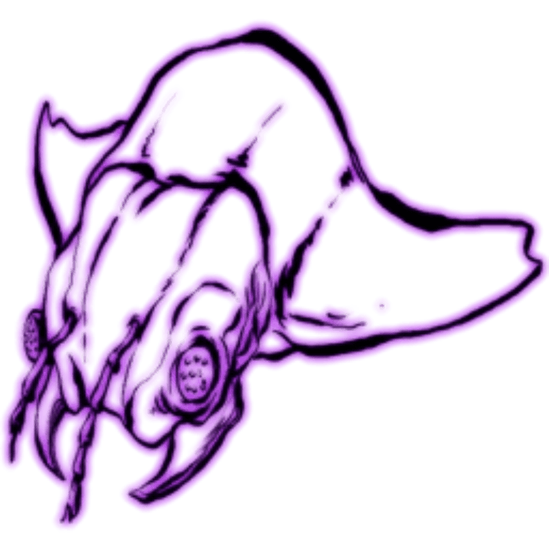 Aberrant Arthropluera