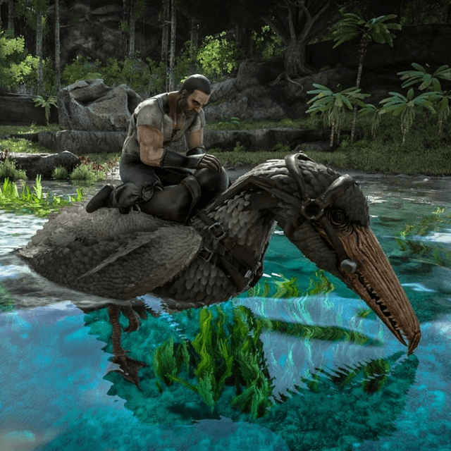 Pelagornis