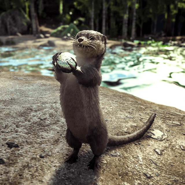 Otter