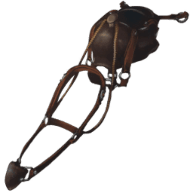 Pteranodon Saddle