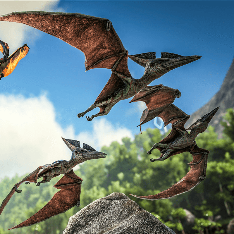 Pteranodon (Lv.200)