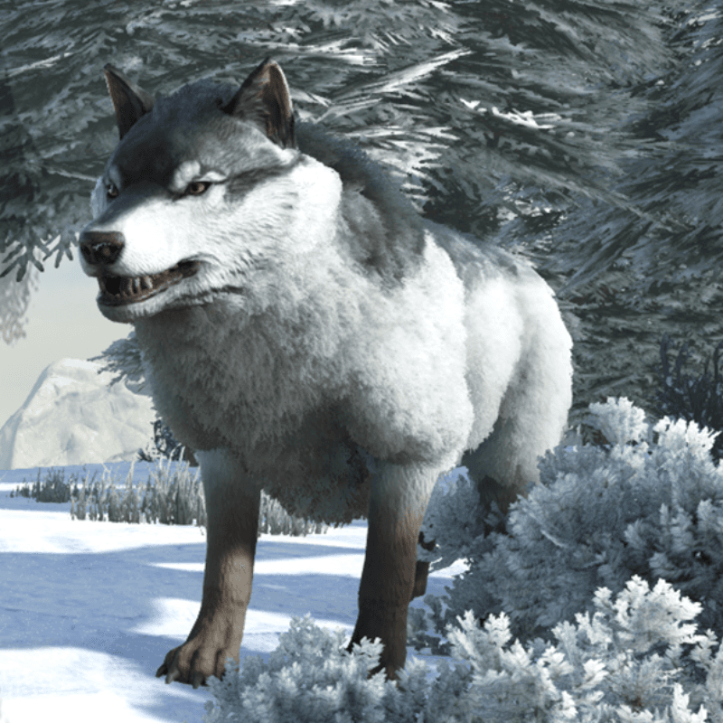 Direwolf (Lv.200)
