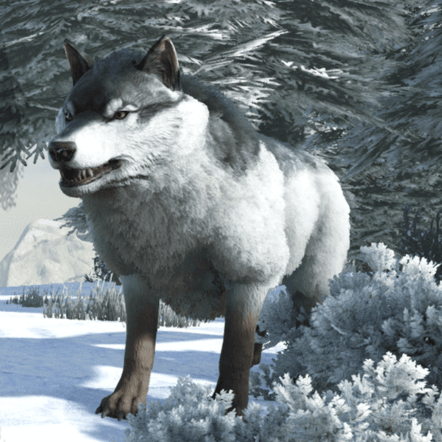 Direwolf