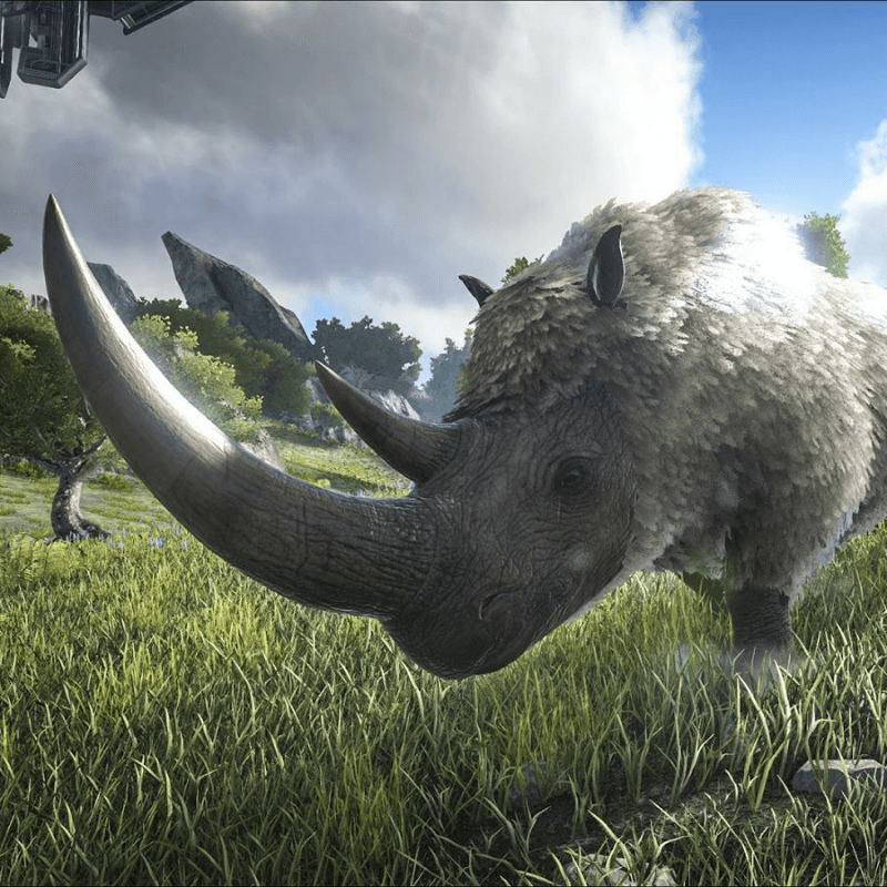 Woolly Rhino (Lv.190)