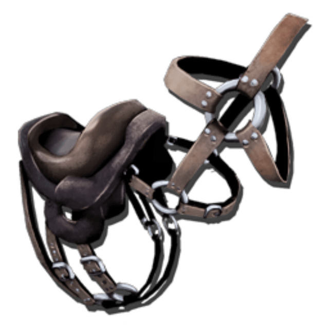 Procoptodon Saddle