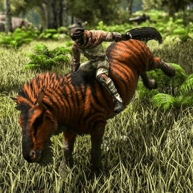 Equus