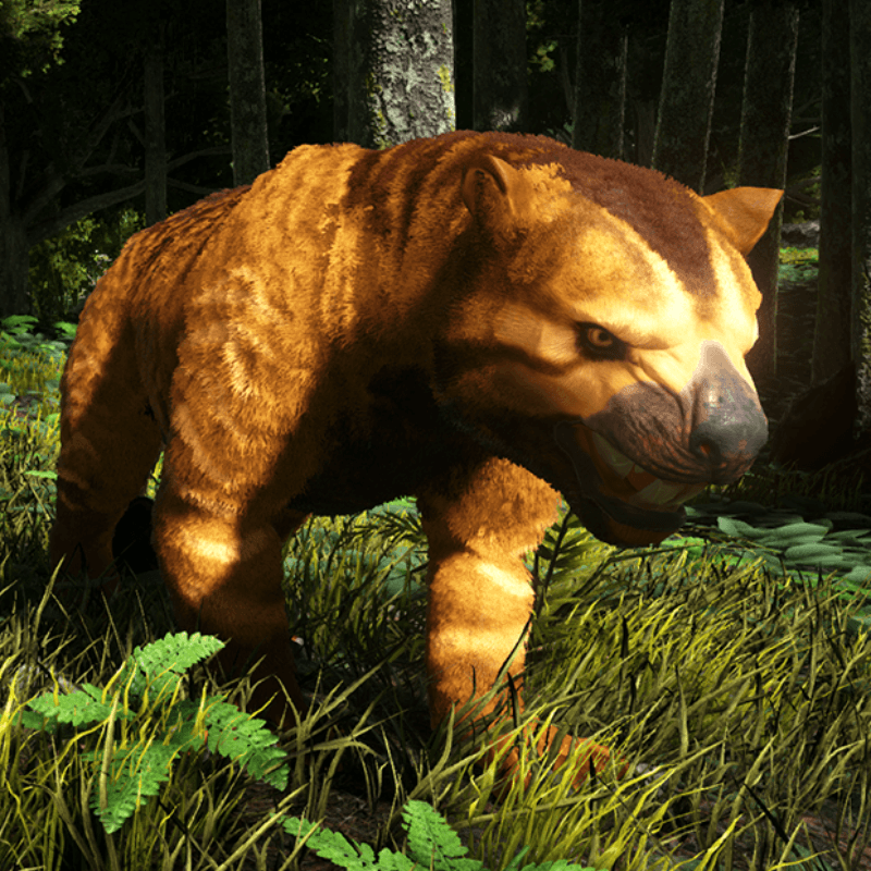 Thylacoleo
