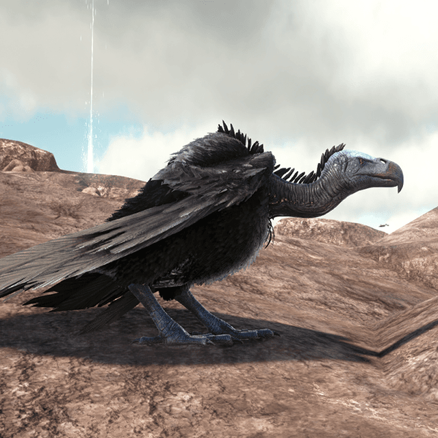 Vulture